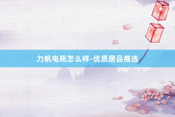 力帆电瓶怎么样-优质居品推选